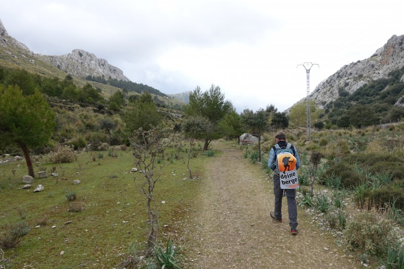 Cuber - Puig de l Ofre - Puig de na Franquesa - Puig de sa Rateta - Cuber