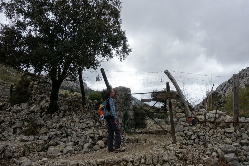 Cuber - Puig de l Ofre - Puig de na Franquesa - Puig de sa Rateta - Cuber