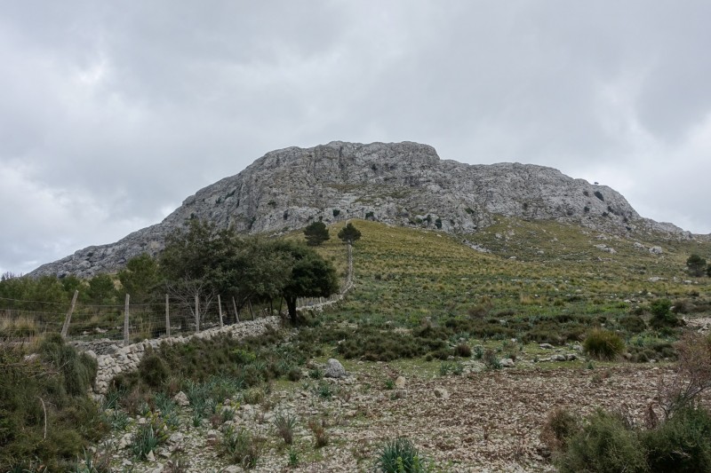 Cuber - Puig de l Ofre - Puig de na Franquesa - Puig de sa Rateta - Cuber