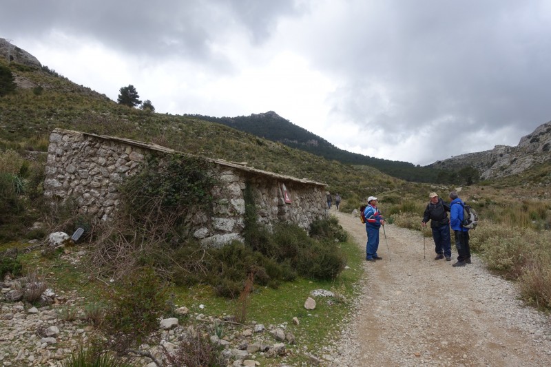 Cuber - Puig de l Ofre - Puig de na Franquesa - Puig de sa Rateta - Cuber