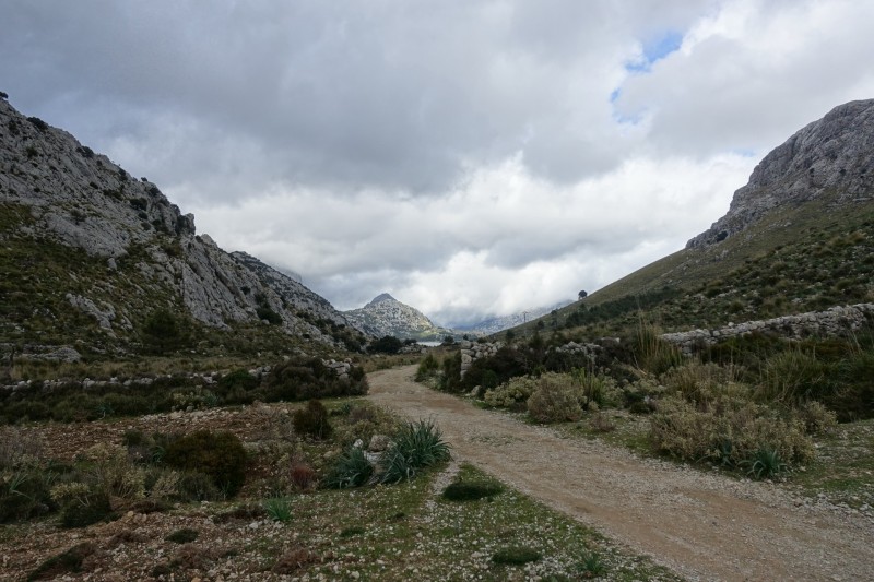 Cuber - Puig de l Ofre - Puig de na Franquesa - Puig de sa Rateta - Cuber
