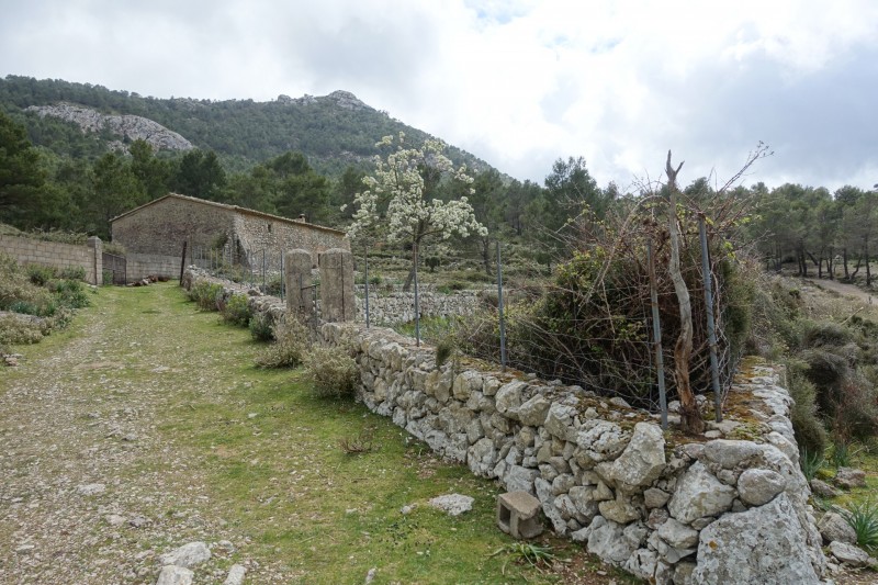 Cuber - Puig de l Ofre - Puig de na Franquesa - Puig de sa Rateta - Cuber