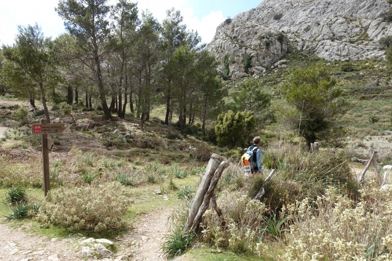 Cuber - Puig de l Ofre - Puig de na Franquesa - Puig de sa Rateta - Cuber