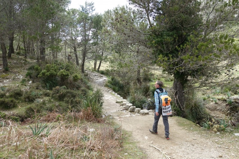 Cuber - Puig de l Ofre - Puig de na Franquesa - Puig de sa Rateta - Cuber