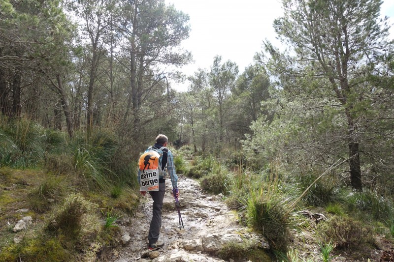 Cuber - Puig de l Ofre - Puig de na Franquesa - Puig de sa Rateta - Cuber