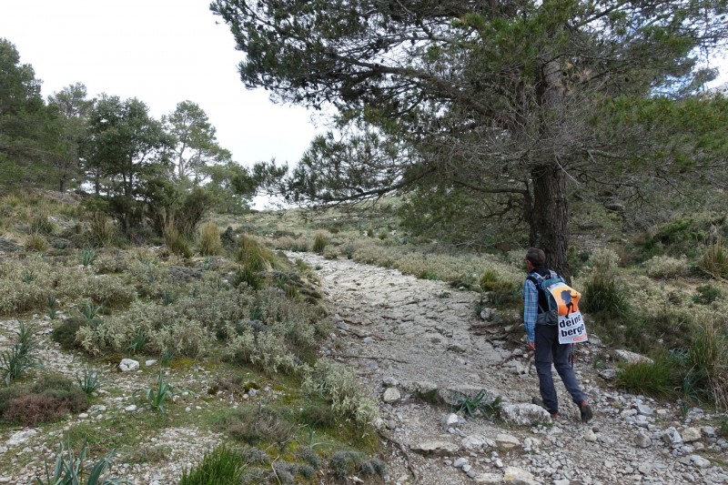 Cuber - Puig de l Ofre - Puig de na Franquesa - Puig de sa Rateta - Cuber