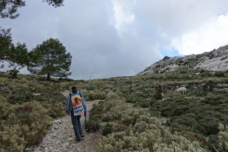 Cuber - Puig de l Ofre - Puig de na Franquesa - Puig de sa Rateta - Cuber