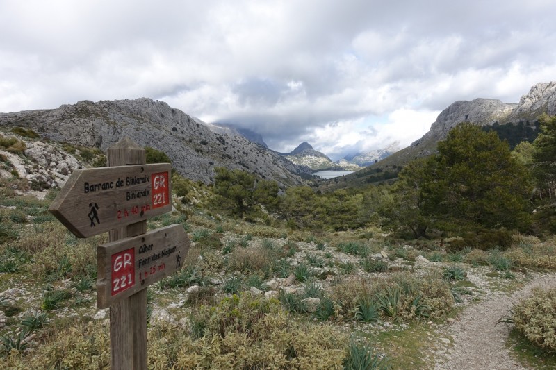 Cuber - Puig de l Ofre - Puig de na Franquesa - Puig de sa Rateta - Cuber