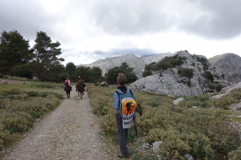 Cuber - Puig de l Ofre - Puig de na Franquesa - Puig de sa Rateta - Cuber