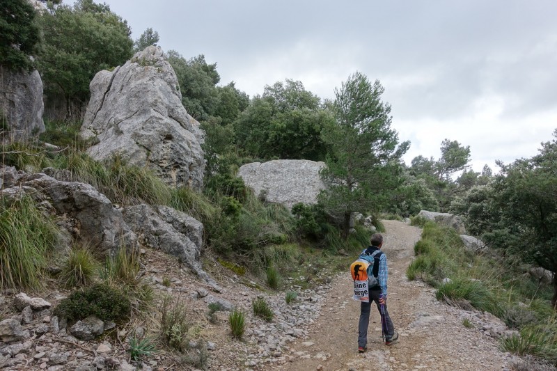 Cuber - Puig de l Ofre - Puig de na Franquesa - Puig de sa Rateta - Cuber