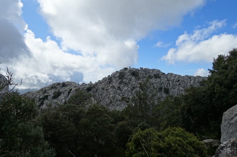 Cuber - Puig de l Ofre - Puig de na Franquesa - Puig de sa Rateta - Cuber