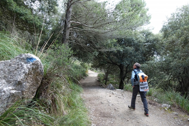 Cuber - Puig de l Ofre - Puig de na Franquesa - Puig de sa Rateta - Cuber