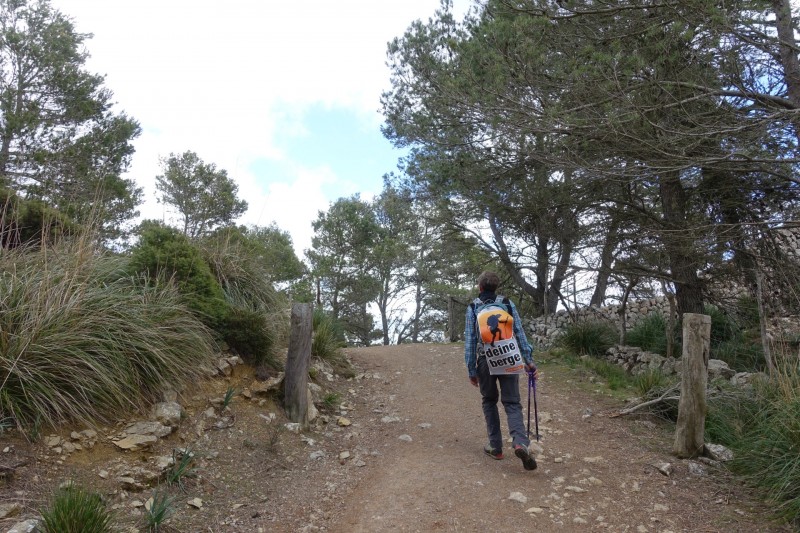 Cuber - Puig de l Ofre - Puig de na Franquesa - Puig de sa Rateta - Cuber