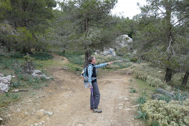 Cuber - Puig de l Ofre - Puig de na Franquesa - Puig de sa Rateta - Cuber