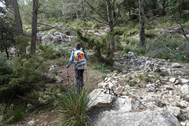 Cuber - Puig de l Ofre - Puig de na Franquesa - Puig de sa Rateta - Cuber