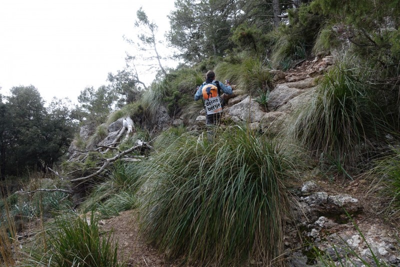 Cuber - Puig de l Ofre - Puig de na Franquesa - Puig de sa Rateta - Cuber