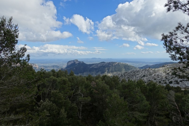 Cuber - Puig de l Ofre - Puig de na Franquesa - Puig de sa Rateta - Cuber