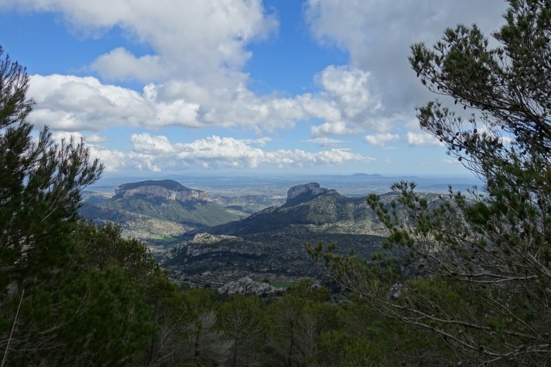 Cuber - Puig de l Ofre - Puig de na Franquesa - Puig de sa Rateta - Cuber