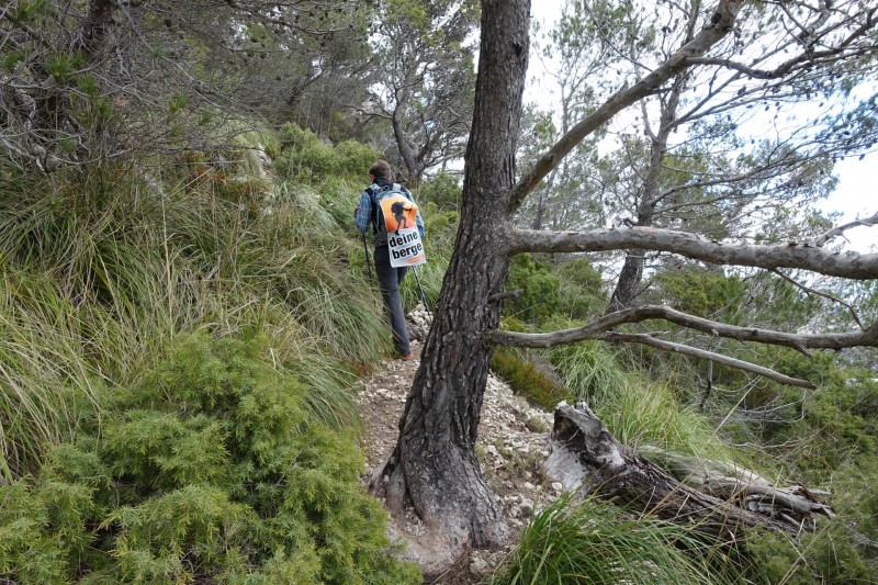 Cuber - Puig de l Ofre - Puig de na Franquesa - Puig de sa Rateta - Cuber