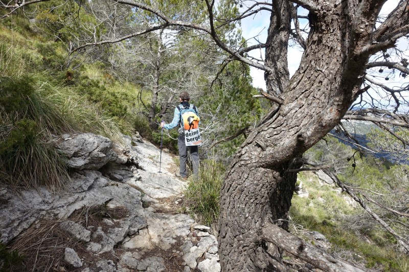 Cuber - Puig de l Ofre - Puig de na Franquesa - Puig de sa Rateta - Cuber