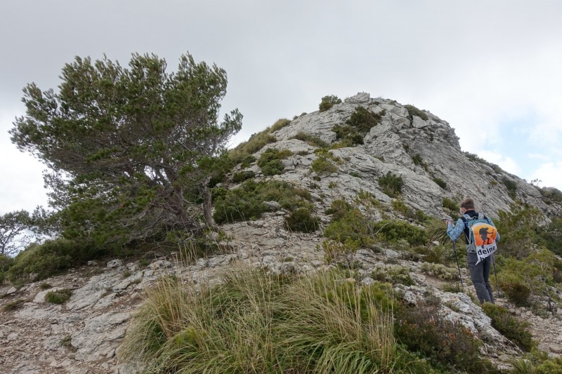 Cuber - Puig de l Ofre - Puig de na Franquesa - Puig de sa Rateta - Cuber
