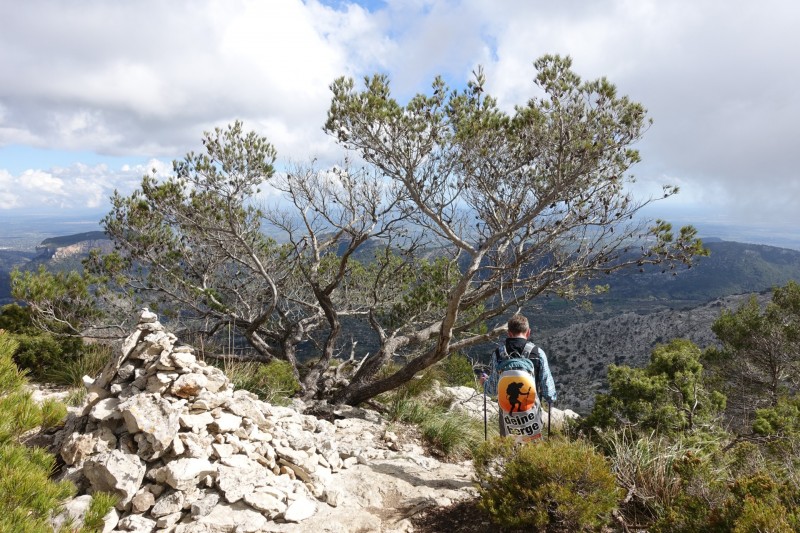 Cuber - Puig de l Ofre - Puig de na Franquesa - Puig de sa Rateta - Cuber
