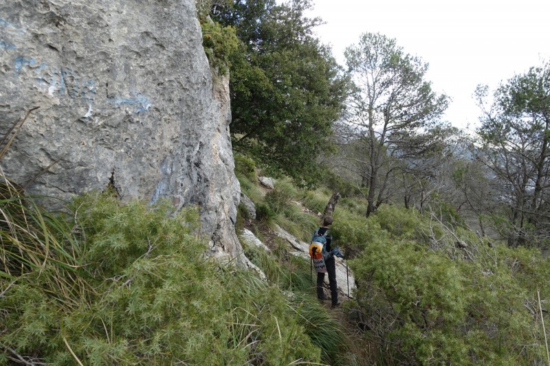 Cuber - Puig de l Ofre - Puig de na Franquesa - Puig de sa Rateta - Cuber