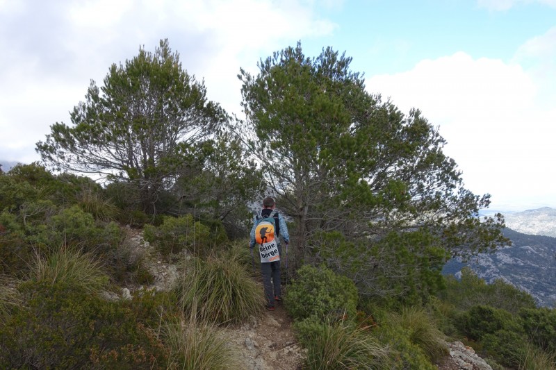 Cuber - Puig de l Ofre - Puig de na Franquesa - Puig de sa Rateta - Cuber