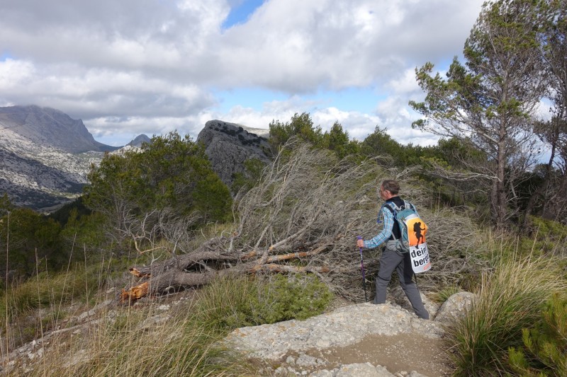 Cuber - Puig de l Ofre - Puig de na Franquesa - Puig de sa Rateta - Cuber