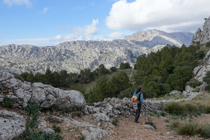 Cuber - Puig de l Ofre - Puig de na Franquesa - Puig de sa Rateta - Cuber