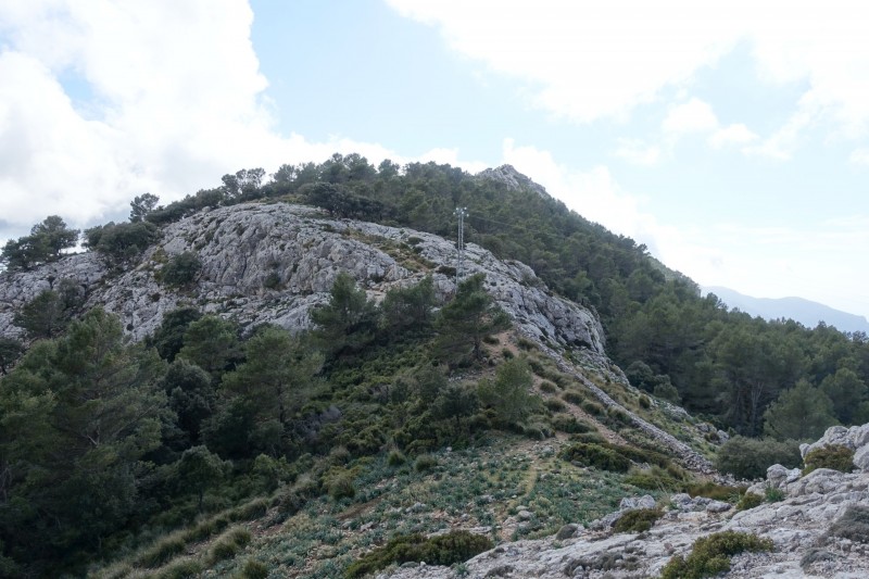 Cuber - Puig de l Ofre - Puig de na Franquesa - Puig de sa Rateta - Cuber