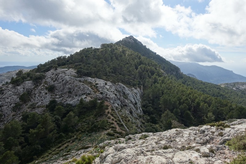 Cuber - Puig de l Ofre - Puig de na Franquesa - Puig de sa Rateta - Cuber