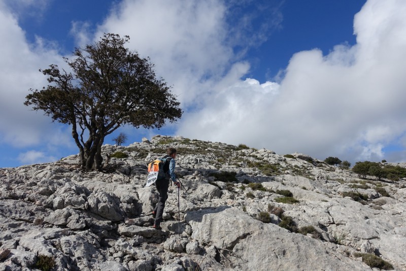 Cuber - Puig de l Ofre - Puig de na Franquesa - Puig de sa Rateta - Cuber