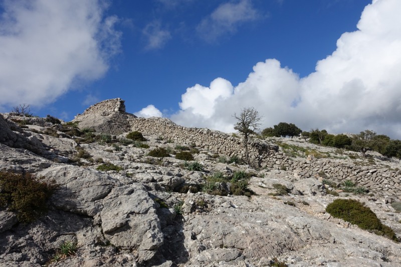 Cuber - Puig de l Ofre - Puig de na Franquesa - Puig de sa Rateta - Cuber