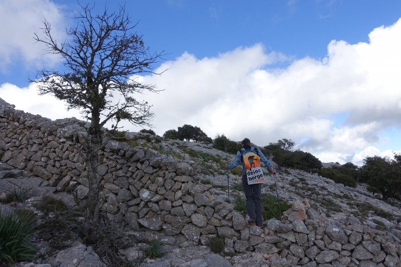 Cuber - Puig de l Ofre - Puig de na Franquesa - Puig de sa Rateta - Cuber