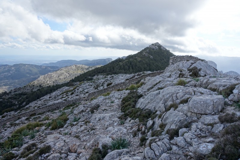 Cuber - Puig de l Ofre - Puig de na Franquesa - Puig de sa Rateta - Cuber
