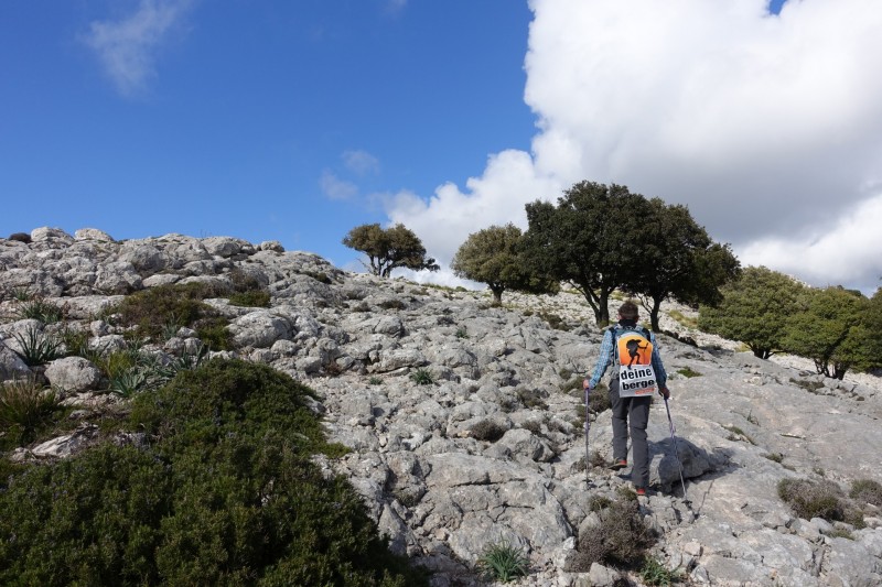 Cuber - Puig de l Ofre - Puig de na Franquesa - Puig de sa Rateta - Cuber