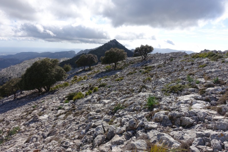 Cuber - Puig de l Ofre - Puig de na Franquesa - Puig de sa Rateta - Cuber
