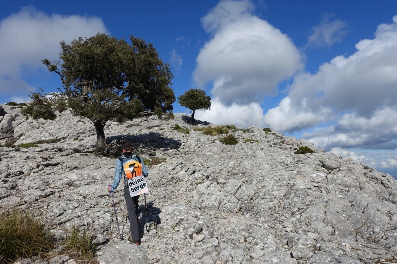 Cuber - Puig de l Ofre - Puig de na Franquesa - Puig de sa Rateta - Cuber