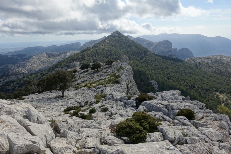 Cuber - Puig de l Ofre - Puig de na Franquesa - Puig de sa Rateta - Cuber