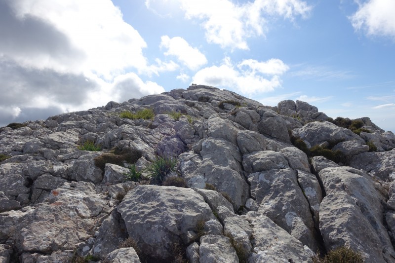 Cuber - Puig de l Ofre - Puig de na Franquesa - Puig de sa Rateta - Cuber