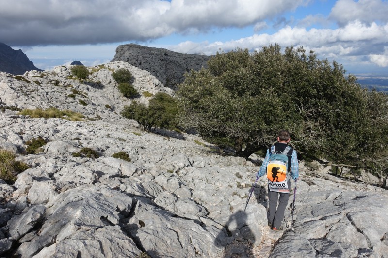Cuber - Puig de l Ofre - Puig de na Franquesa - Puig de sa Rateta - Cuber
