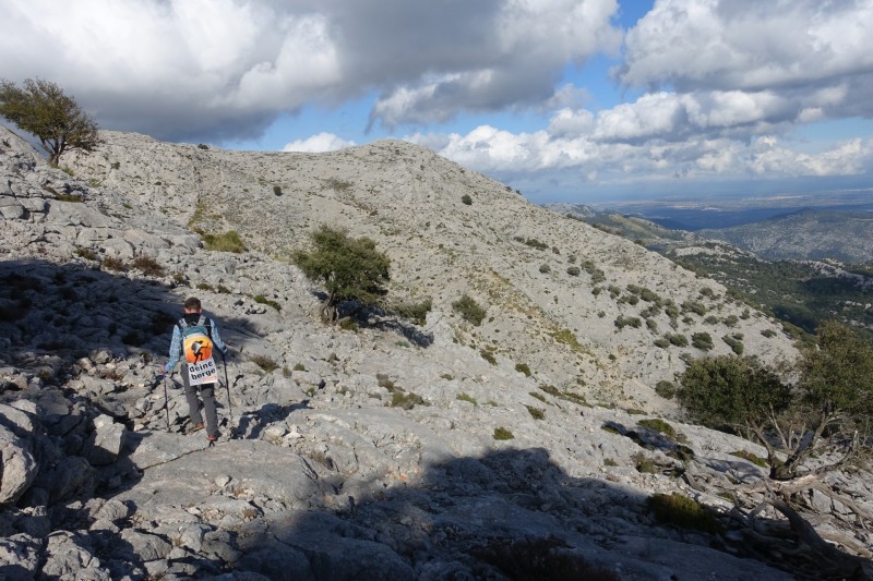 Cuber - Puig de l Ofre - Puig de na Franquesa - Puig de sa Rateta - Cuber