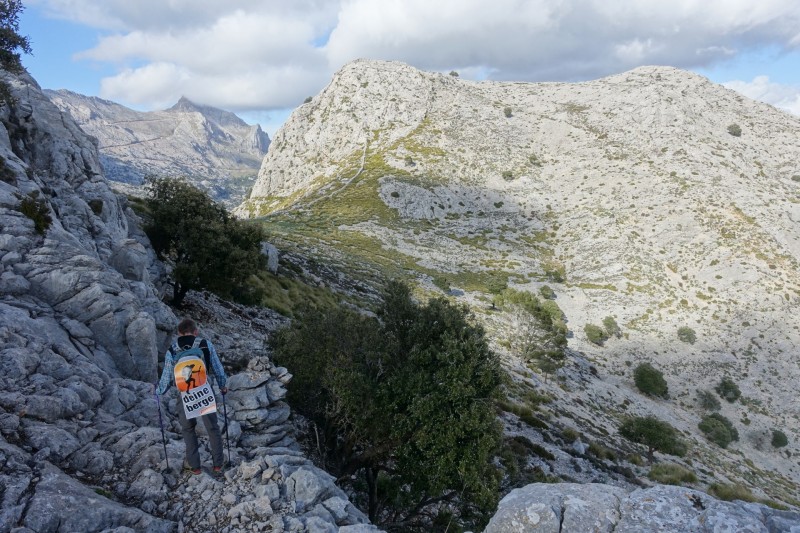 Cuber - Puig de l Ofre - Puig de na Franquesa - Puig de sa Rateta - Cuber