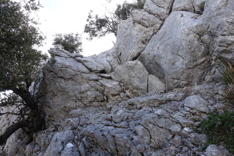 Cuber - Puig de l Ofre - Puig de na Franquesa - Puig de sa Rateta - Cuber