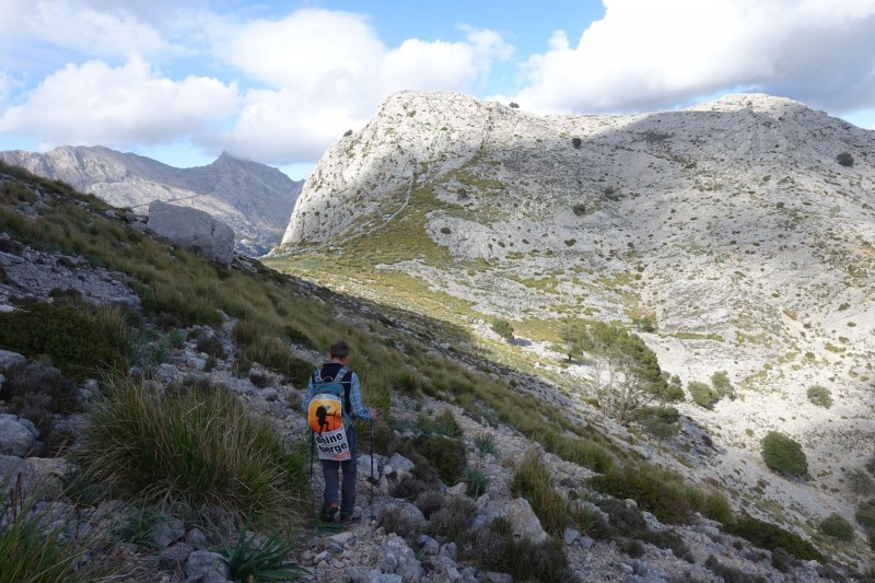 Cuber - Puig de l Ofre - Puig de na Franquesa - Puig de sa Rateta - Cuber