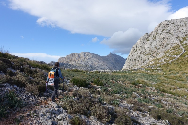 Cuber - Puig de l Ofre - Puig de na Franquesa - Puig de sa Rateta - Cuber