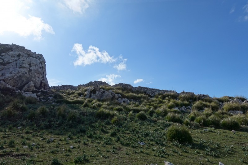 Cuber - Puig de l Ofre - Puig de na Franquesa - Puig de sa Rateta - Cuber