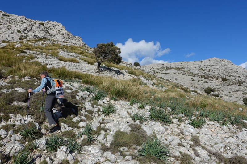 Cuber - Puig de l Ofre - Puig de na Franquesa - Puig de sa Rateta - Cuber