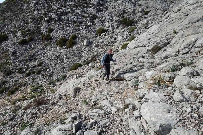 Cuber - Puig de l Ofre - Puig de na Franquesa - Puig de sa Rateta - Cuber